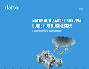 Natural Disaster Survival Guide for Business Cover